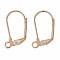 Support Boucle d'oreille Dormeuse N&deg;11 x 25 Paires