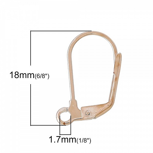 Support Boucle d'oreille Dormeuse N&deg;11 x 25 Paires