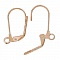 Support Boucle d'oreille Dormeuse N&deg;11 x 25 Paires