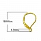 Support Boucle d'oreille Dormeuse N&deg;17 Plaqu&eacute; Or 18K  x 5 paires