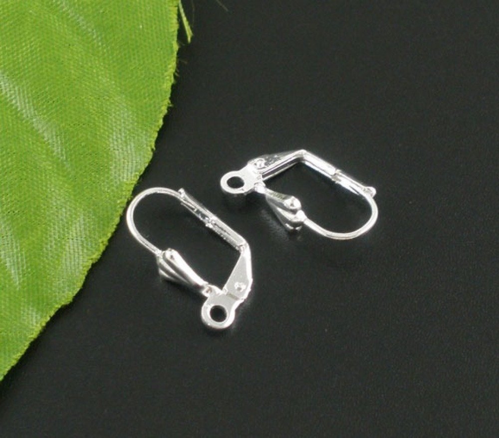 Support Boucle d'oreille Dormeuse N&deg;20 x 5 Paires