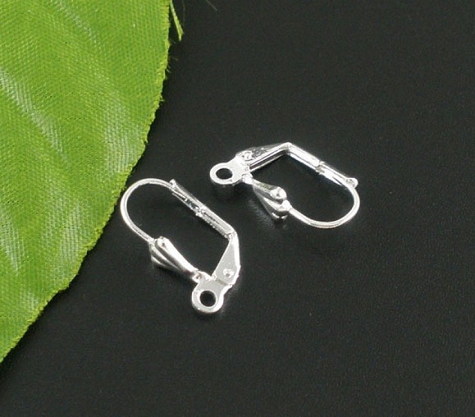 Support Boucle d'oreille Dormeuse N&deg;20 x 5 Paires