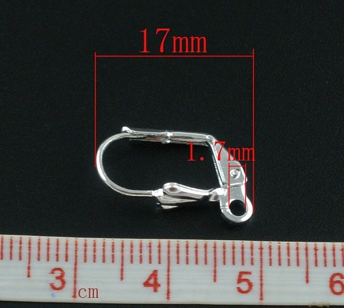 Support Boucle d'oreille Dormeuse N&deg;20 x 5 Paires