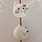 T&ecirc;tes de chats par 10 N&deg;02