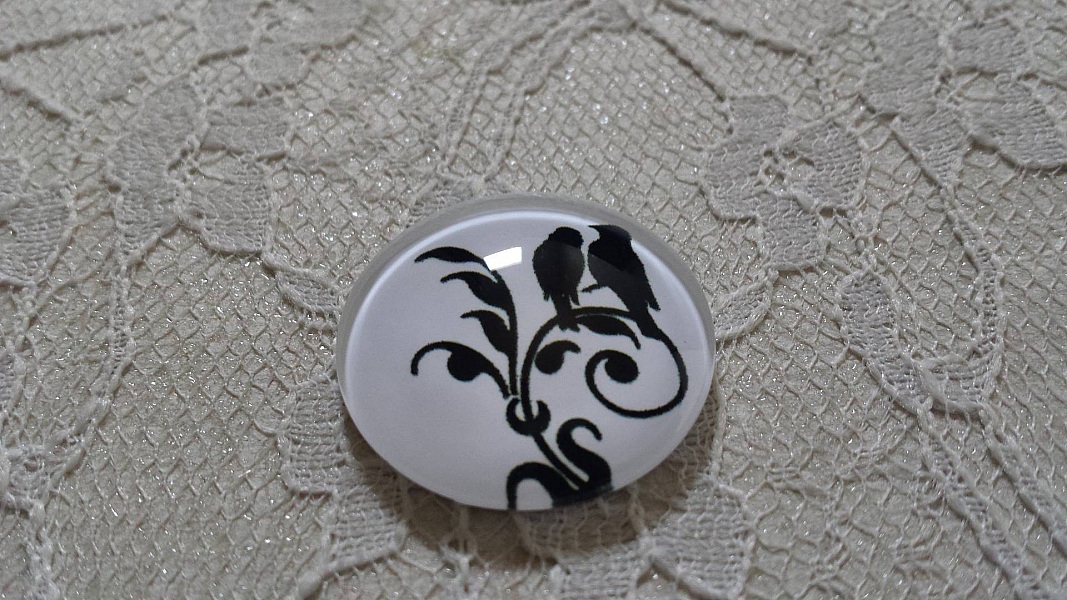 cabochon rond en verre 10mm oiseaux 022 