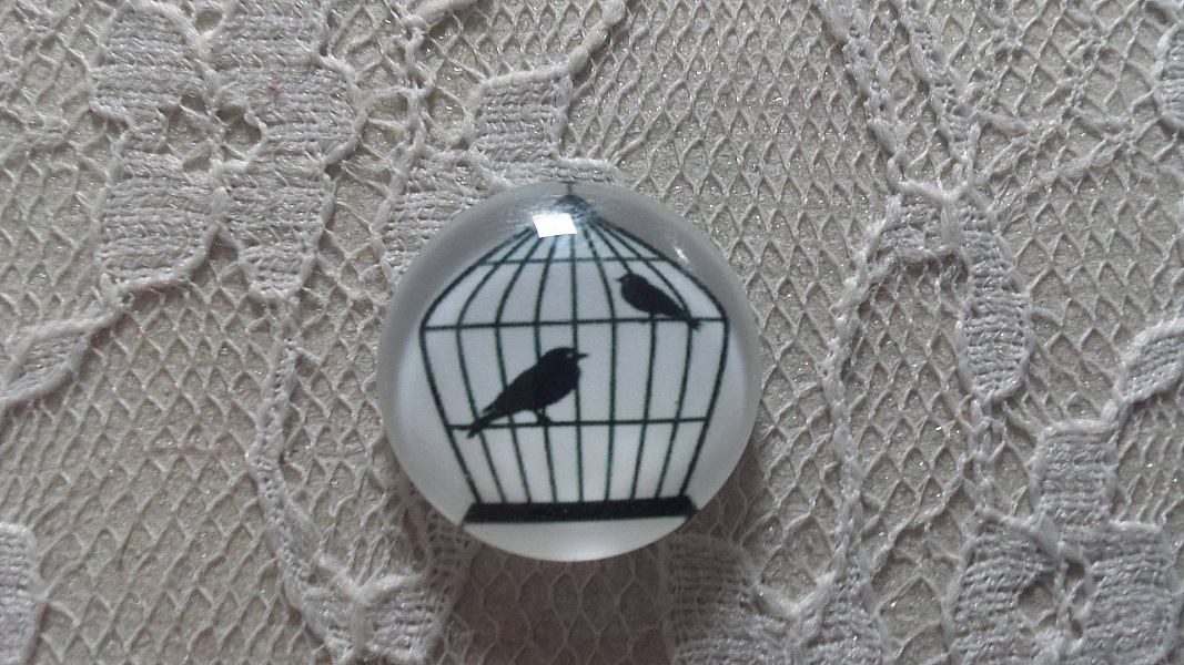 cabochon rond en verre 10mm oiseaux 009 
