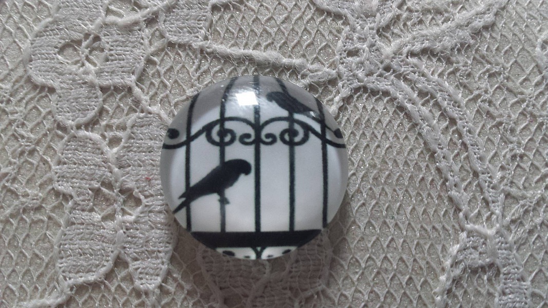 cabochon rond en verre 10mm oiseaux 008 