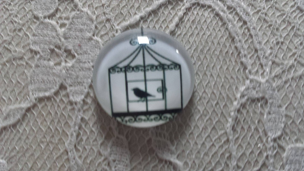 cabochon rond en verre 25mm oiseaux 010 