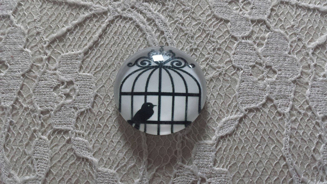 cabochon rond en verre 25mm oiseaux 007 