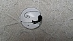 cabochon rond en verre 25mm chat 014 