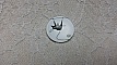 cabochon rond en verre 25mm chat 011 