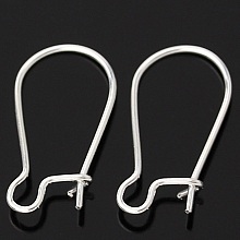 Support Boucle d'oreille Dormeuse 18mm N&deg;01 x 1 Paire