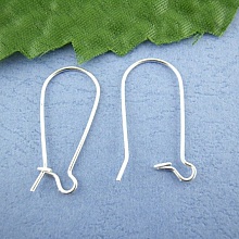 Support Boucle d'oreille Dormeuse 24mm N&deg;02 x 10 Paires