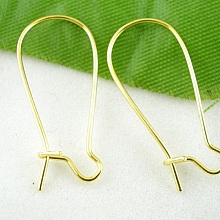 Support Boucle d'oreille Dormeuse 24mm N&deg;04 x 1 Paire