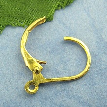 Support Boucle d'oreille Dormeuse N&deg;14 x 5 Paires