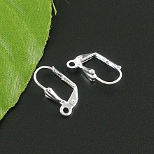 Support Boucle d'oreille Dormeuse N&deg;20 x 5 Paires