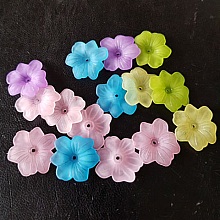 15 Fleurs N&deg;02 assortis