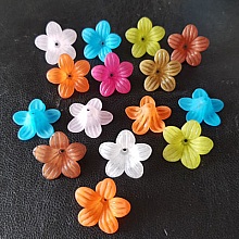 15 Fleurs Pens&eacute;es assortis