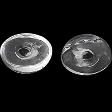 5 Boules en verre Ovale &agrave; remplir