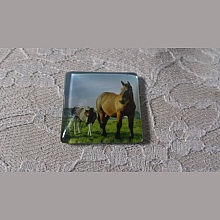 cabochon carr&eacute; en verre 30mm 021 