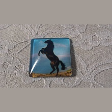 cabochon carr&eacute; en verre 30mm 003 
