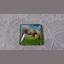 cabochon carr&eacute; en verre 30mm 001 