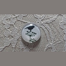 cabochon rond en verre 20mm oiseaux 019 