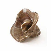 Fleur r&eacute;sine 1 trou 17 x 29 mm Brun 01