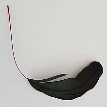 Plume 16 cm N&deg;08 Rouge