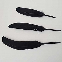 1 Plume 15 cm N&deg;01 Noir