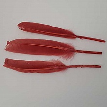 1 Plume 15 cm N&deg;01 Rouge