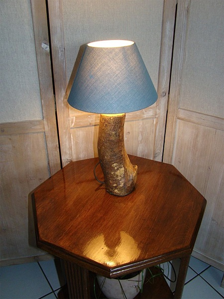 Lampe For&ecirc;t, la nature et ses merveilles 
