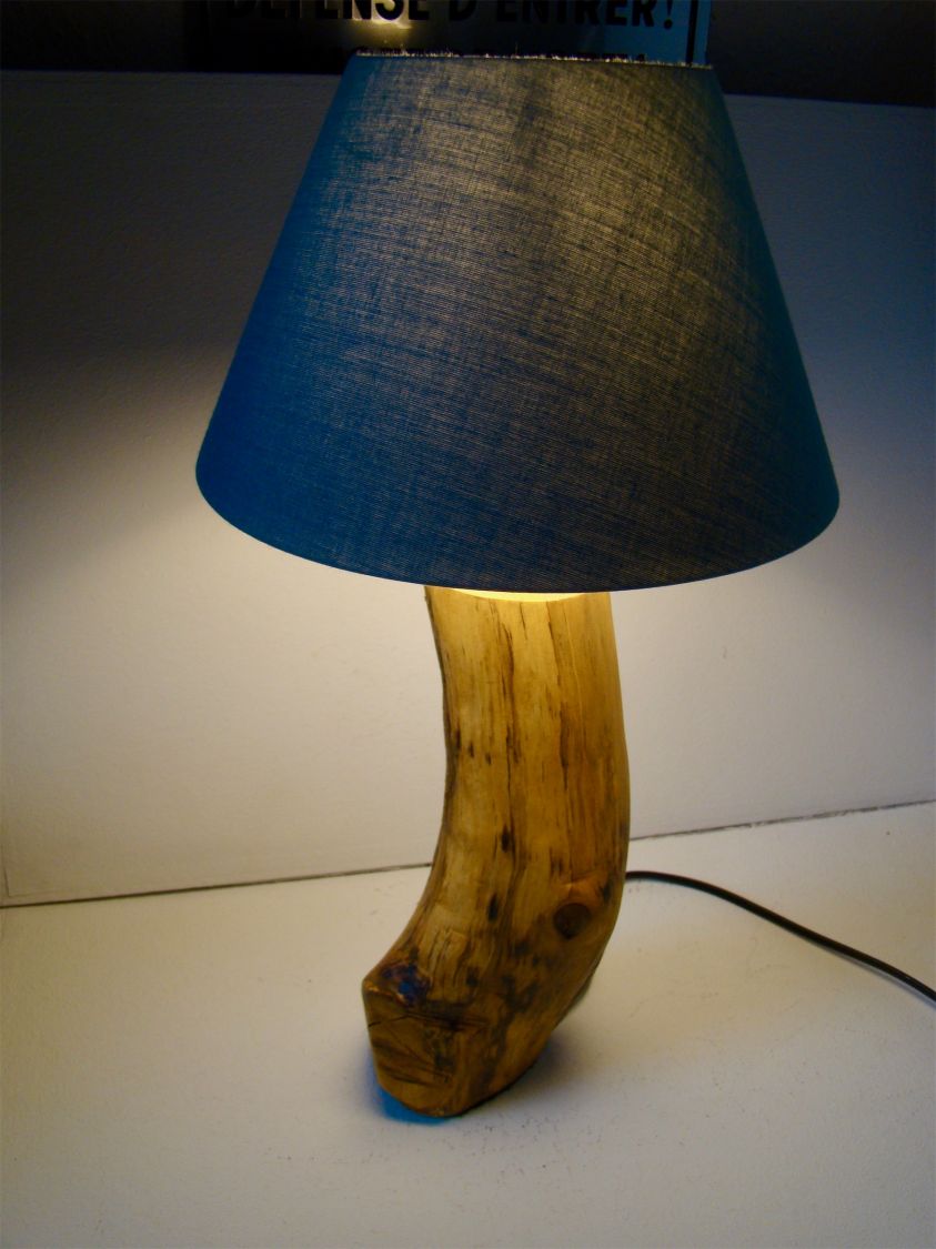 Lampe For&ecirc;t, la nature et ses merveilles 