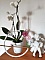 D&eacute;coration douceur de laine