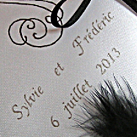 Coussin d'alliances personnalisé en satin blanc avec broderie.