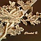 bandeau cheveux mariage ivoire dentelle M&eacute;lissa rose en guipure ivoire rebrod&eacute;e de perles or