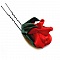 collier de mariage dentelle ivoire fleur de satin rouge et plumes 