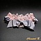 coussin alliances mariage blanc dentelle saumon noeud satin gris  Graziella