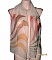 foulard &eacute;charpe mousseline de soie vert amande corail marron