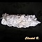 jarreti&egrave;re mariage dentelle blanche et papillon d'argent