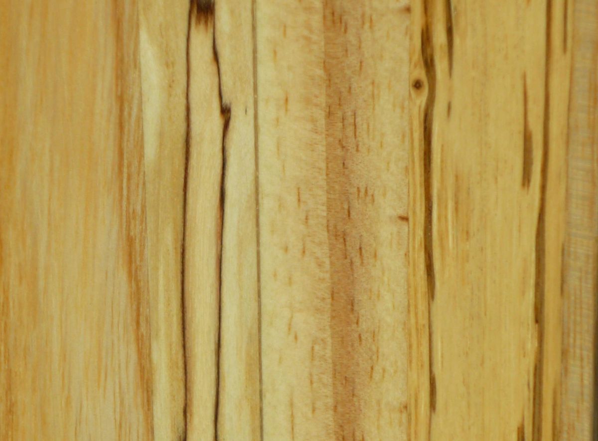 Texture naturelle du bois de frêne et bouleau marbré.