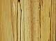 Texture naturelle du bois de frêne et bouleau marbré.