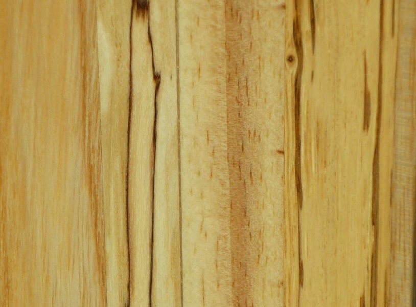 Texture naturelle du bois de frêne et bouleau marbré.