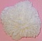 Pancarte mural ou de porte en bois model :lapin rose layette queue pompon en laine 29x20 cm fille