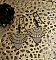 Boucles d'oreilles bois p&ecirc;che et arc-en-ciel laiton 