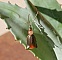 Boucles d'oreilles pendantes p&eacute;tales en laiton naturel et perles pierres oranges