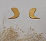 Puces d'oreilles graphiques s en bois dor&eacute; m&eacute;tallis&eacute;