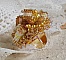 Bague Sunflower Gold brod&eacute;e d&rsquo;un ruban que j&rsquo;ai mis en forme avec des rocailles plaqu&eacute;es or 24 carats, perles nacr&eacute;es en cristal, toupies, perle ronde nacr&eacute;e. Le tout est mont&eacute; sur une bague Dor&eacute;e