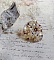 Bague Aurore lumineuse en cristaux Swarovski jonquille et rocailles dorées.