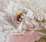Bague Boule de Cristal mont&eacute;e avec fleurs en forme de cloche verre,  velours floqu&eacute; avec bague laiton et d&ocirc;me en verre
